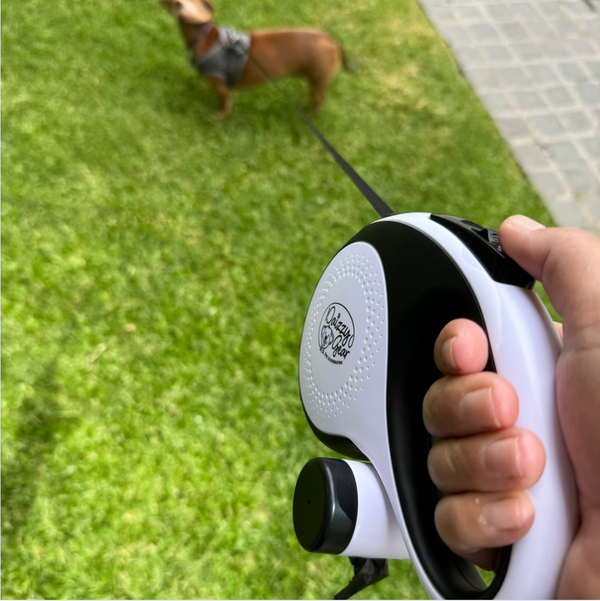 Retractable White Dog Leash with Poop Bag Dispenser