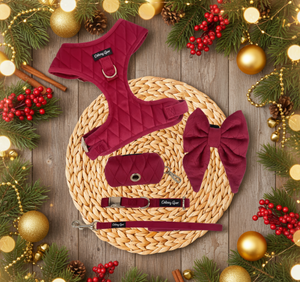 Pup Wishes Dog Matching Set - Limited Edition- Coming Soon