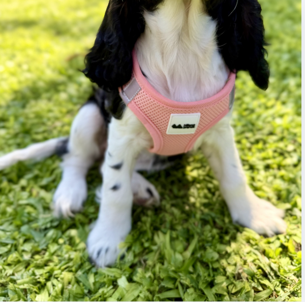 Pink Step-In Mesh Dog Vest Harness for small dogs and cats