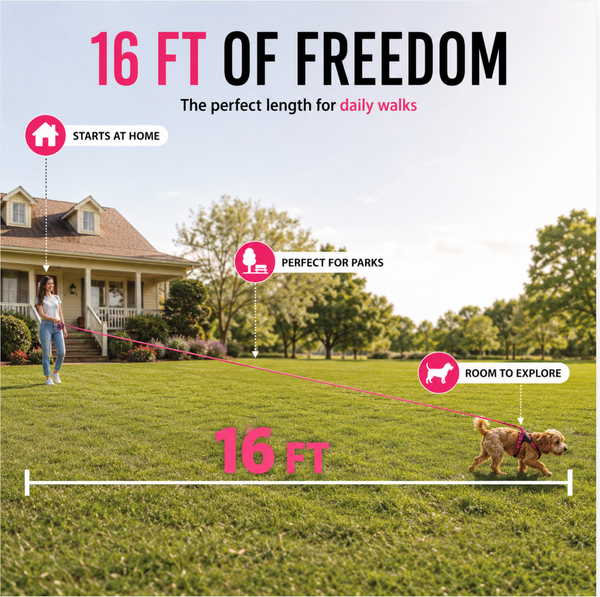 Pink Retractable Dog Walking Leash