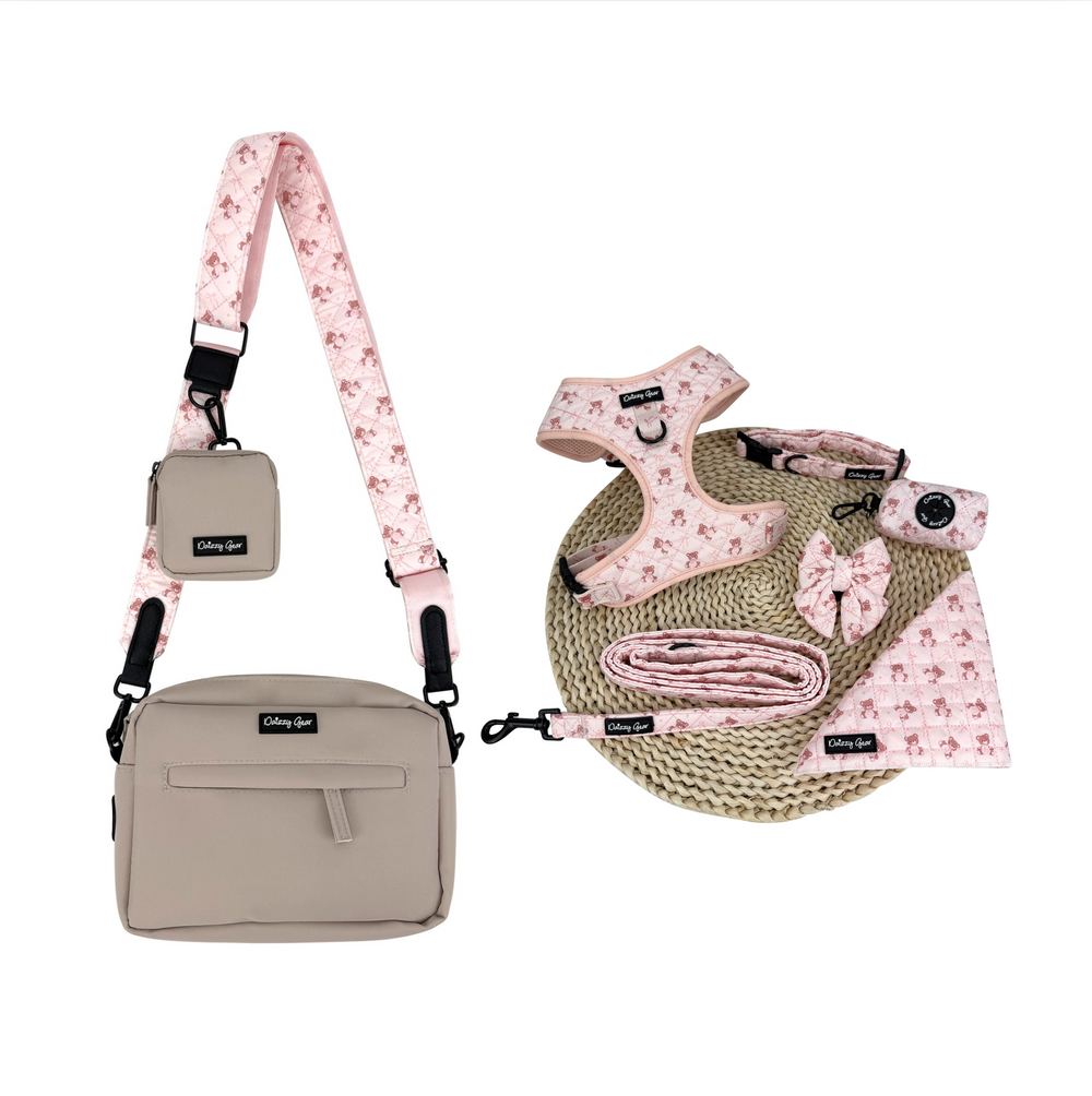 Pink Teddy Coquette Mom & Pup Matching Bundle