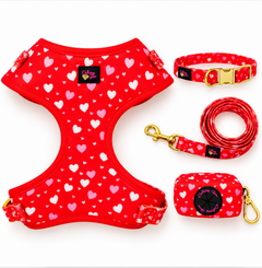 Love You More Dog Walking Matching Set