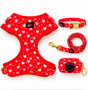 Love You More Dog Walking Matching Set
