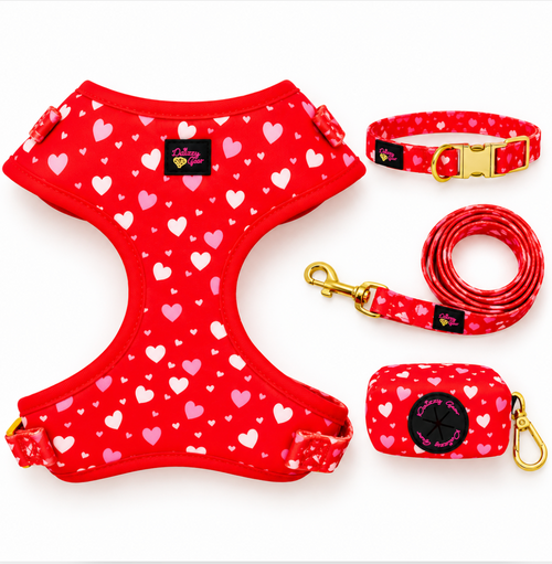 Love You More Dog Walking Matching Set