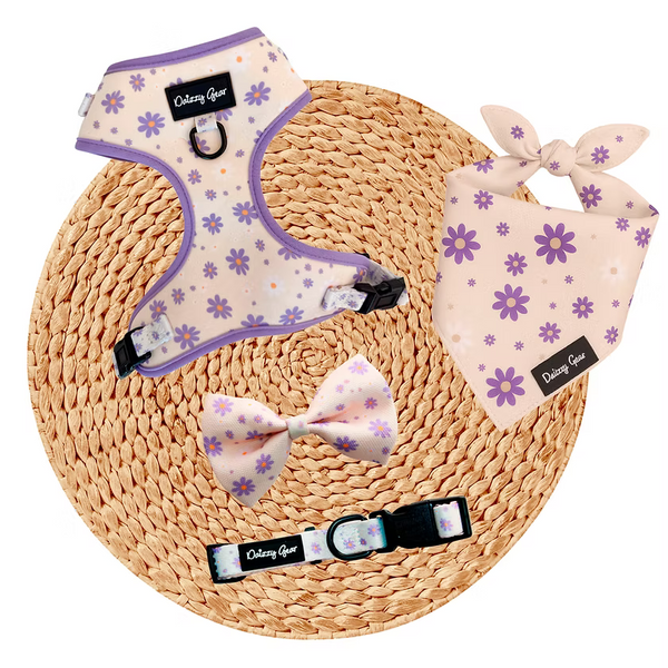 Daisy Dreams Dog Harness Matching Walking Set