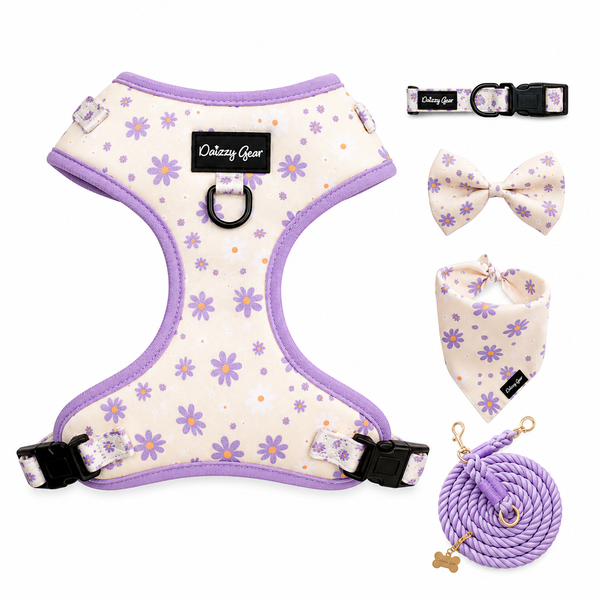 Dog harness, leash, collar, and bandana set with purple floral pattern on a white background