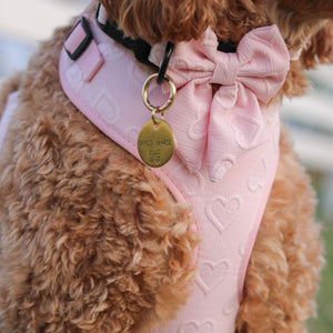 Dog wearing a pink outfit with a bow and gold tag, standing outdoors.