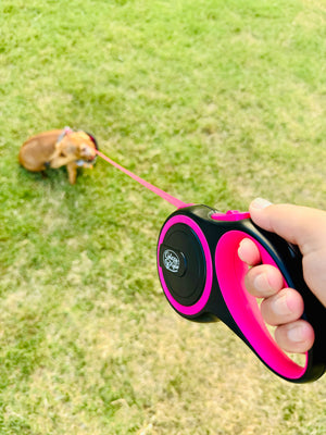 Holiday Gift Dog Mom Walking Bag and Leash- Limited Edition