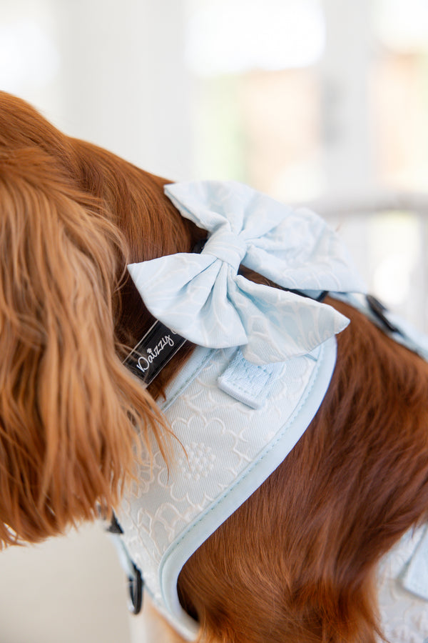 Divine Petals Sky Blue Floral Dog Matching Set.