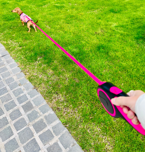 Retractable Pink Dog Walking Leash