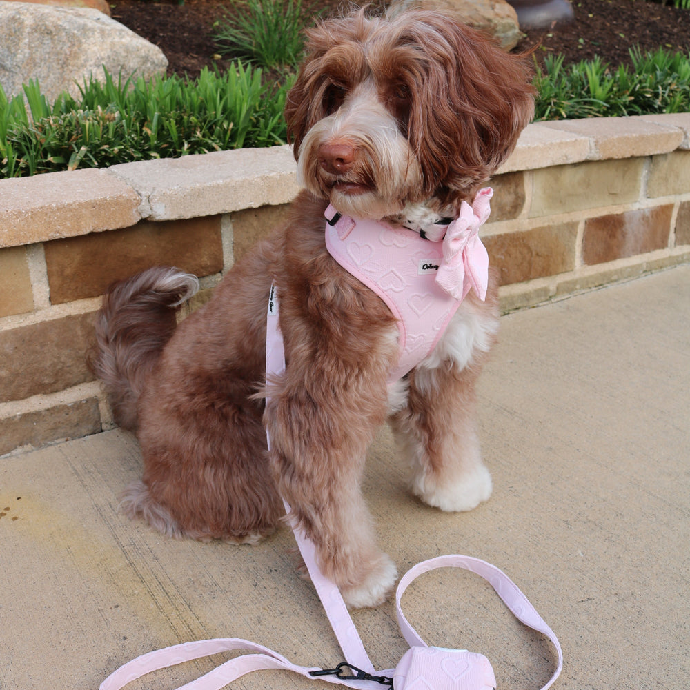 Pink pet harness with heart patterns, matching collar, leash, and bandana on a white background.