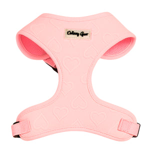 Petite Amour Pink Dog Harness Matching Walking Set