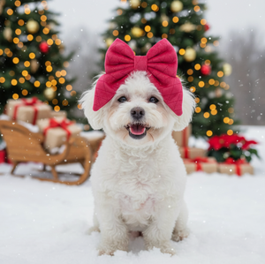 Pup Wishes Dog Matching Set - Limited Edition- Coming Soon