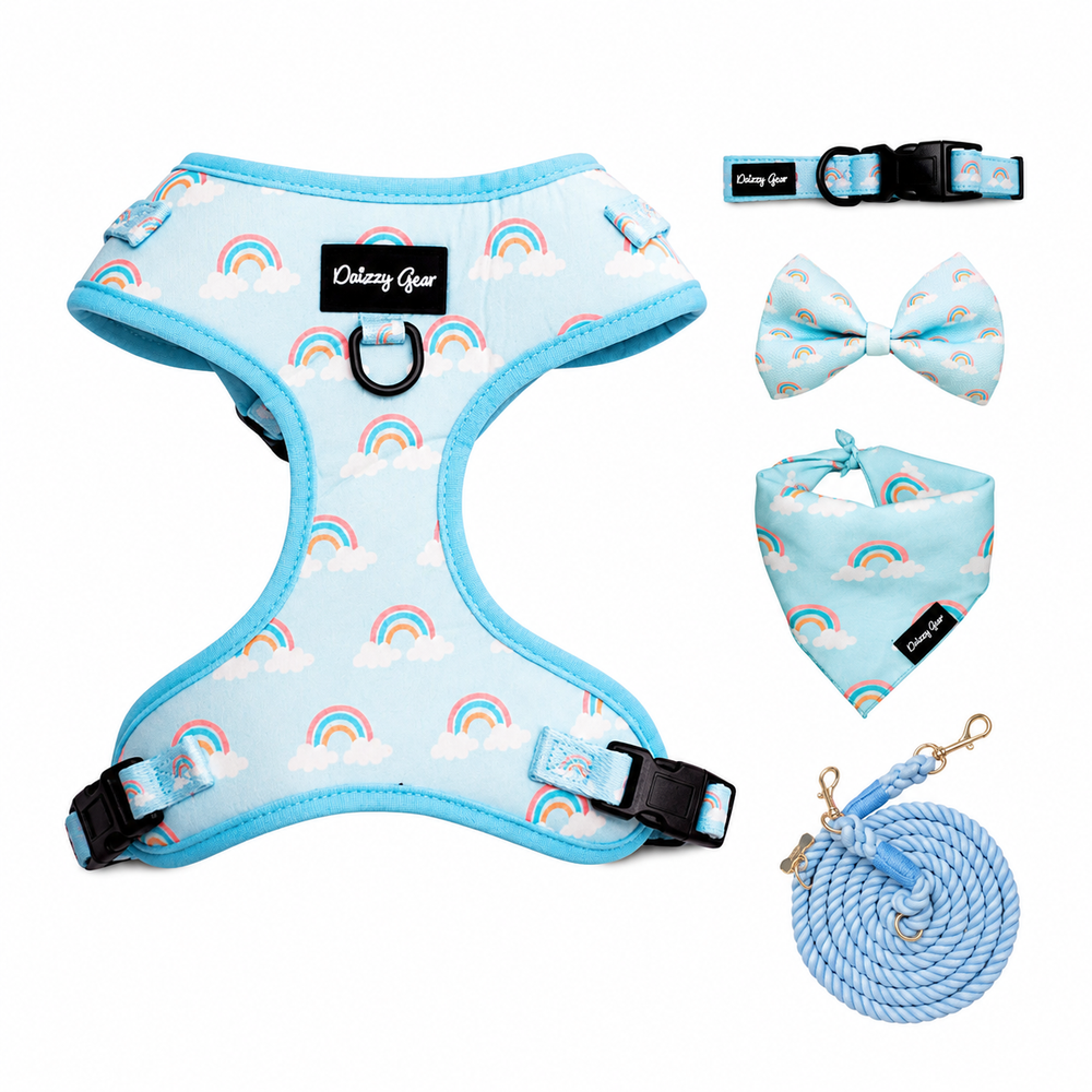 Blue Rainbow Bliss Dog Walking Matching Set with Rope Leash
