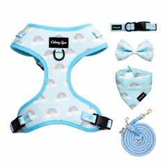 Blue Rainbow Bliss Dog Walking Matching Set with Rope Leash