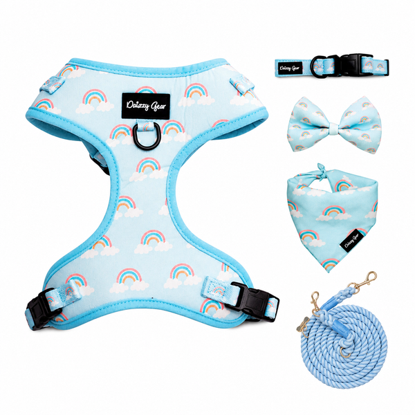 Blue Rainbow Bliss Dog Walking Matching Set with Rope Leash