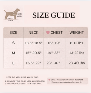 Dog size guide with measurements for neck, chest, and weight.