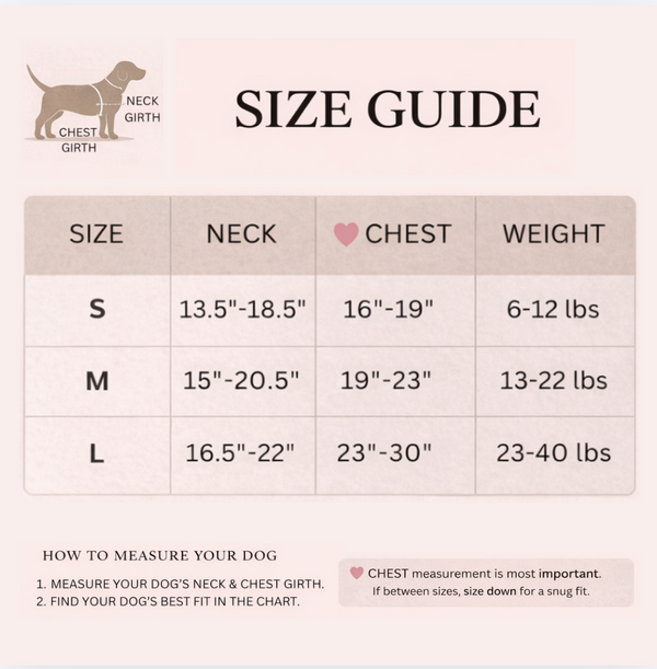 Dog size guide with measurements for neck, chest, and weight.