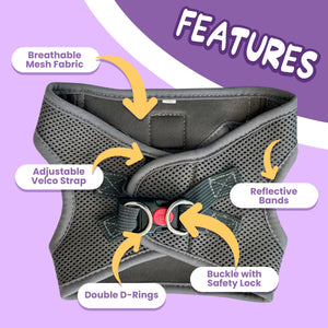 Dog harness with features highlighted on a purple background