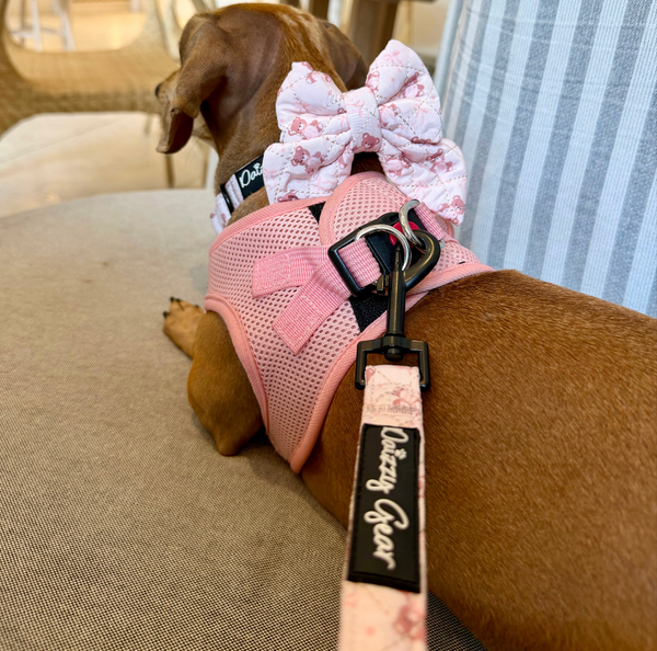 Dog wearing a pink harness with a bow and 'Owley Gear' branding on a couch.