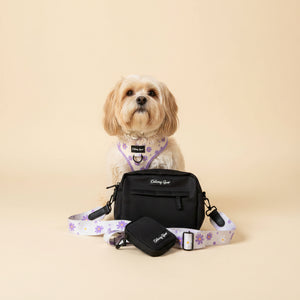 Small white dog with a black bag and floral leash on a carpeted floor.