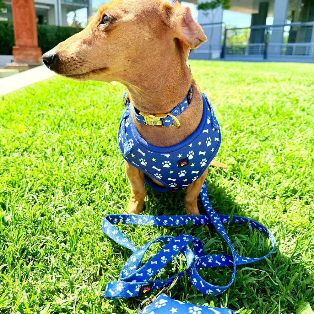 Blue Paws Dog Poop Bag Holder with Clip - Daizzy Gear - Stylish Accessories for Dogs