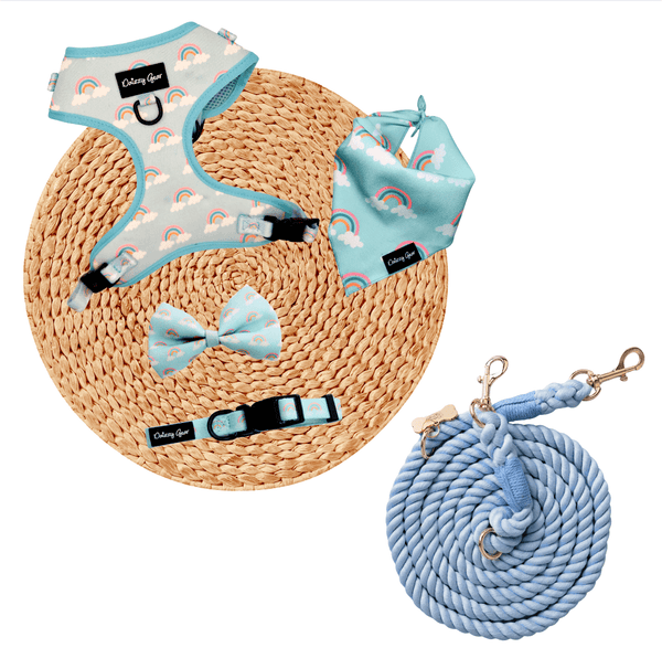Blue Rainbow Bliss Dog Walking Matching Set with Rope Leash - Daizzy Gear - Stylish Accessories for Dogs