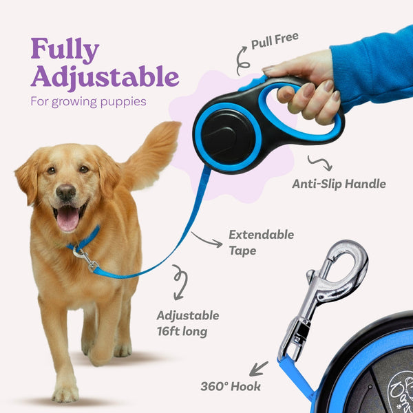 Blue Retractable Dog Walking Leash - Daizzy Gear - Stylish Accessories for Dogs