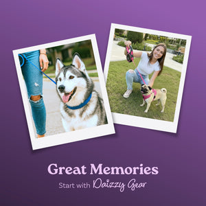 Blue Retractable Dog Walking Leash - Daizzy Gear - Stylish Accessories for Dogs