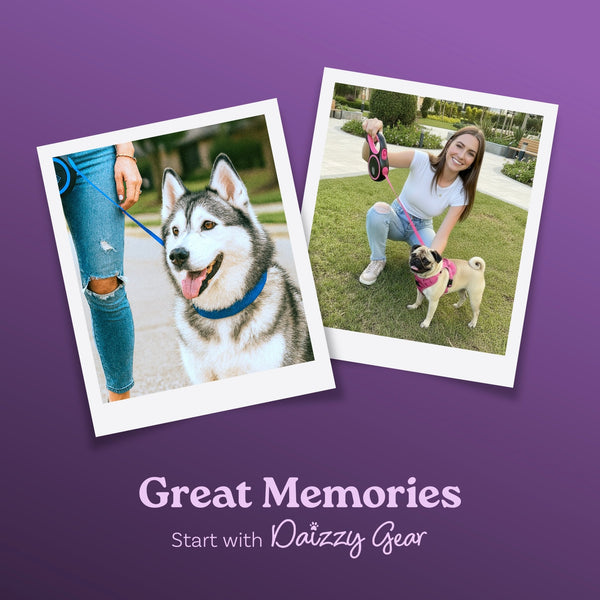 Blue Retractable Dog Walking Leash - Daizzy Gear - Stylish Accessories for Dogs