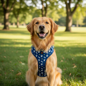 Blue dog harness with paw and bone pattern on a light gray background