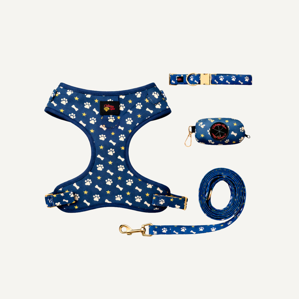 Dog harness, collar, and leash set with paw and bone pattern on a white background