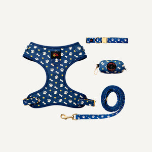 Dog harness, collar, and leash set with paw and bone pattern on a white background