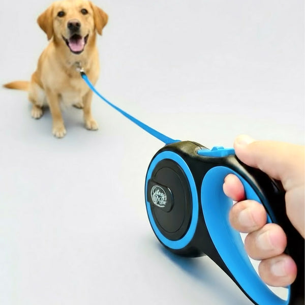 Retractable Blue Dog Walking Leash