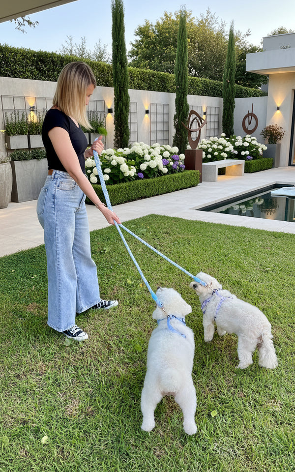 Blue Hands-Free Rope Dog Leash