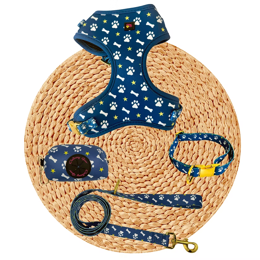 Paws & Bones Dog Harness Matching Walking Set