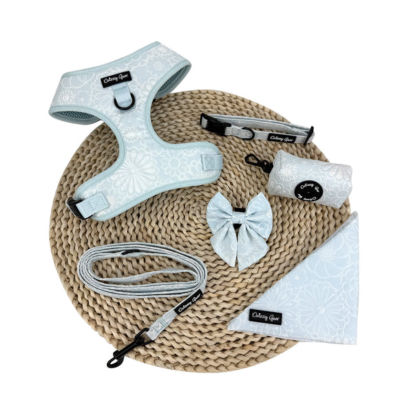 Divine Petals Dog Harness Matching Walking Set