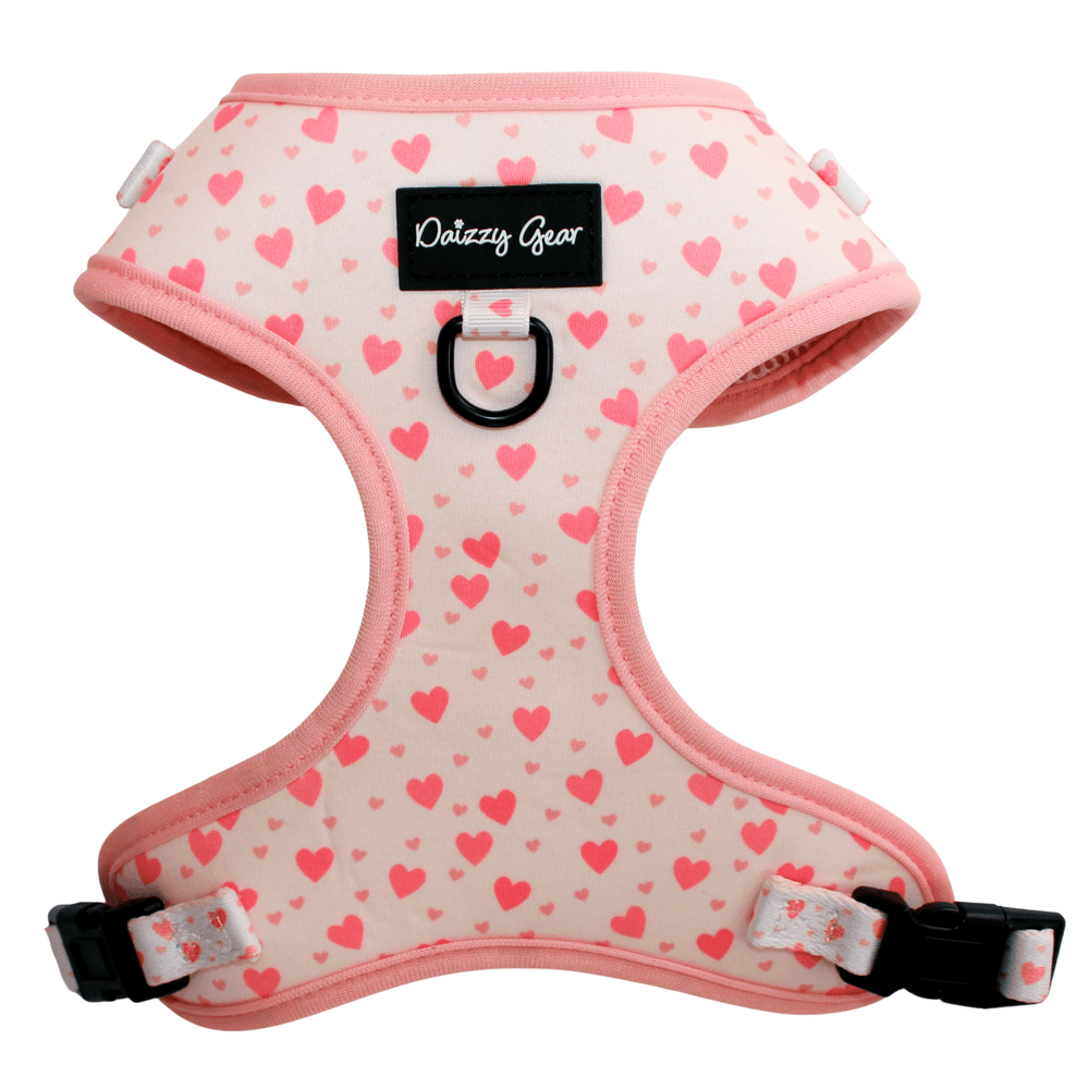Blushing Love Dog Harness Matching Walking Set - Daizzy Gear - Stylish Accessories for Dogs