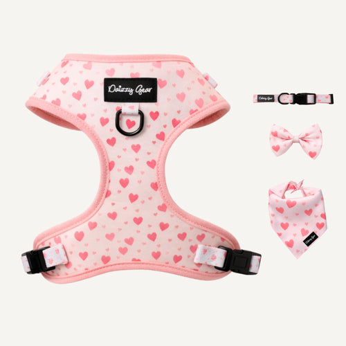 Pink heart-patterned dog harness with matching accessories on a white background