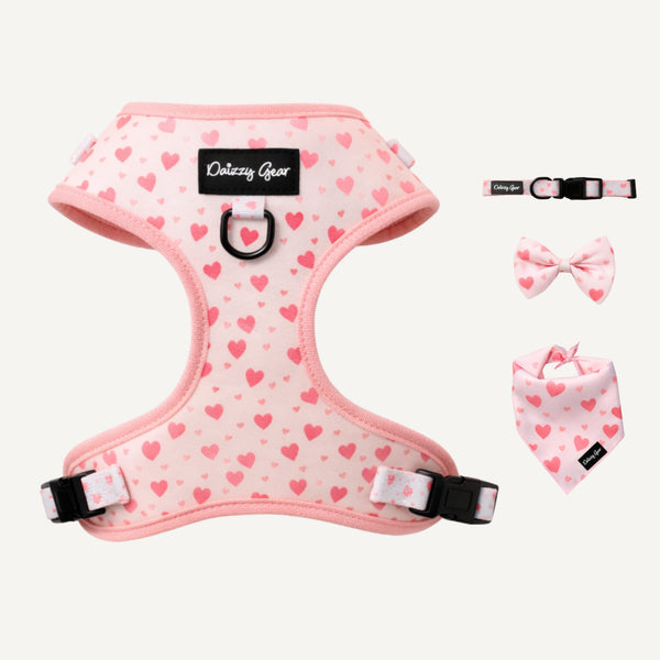 Pink heart-patterned dog harness with matching accessories on a white background