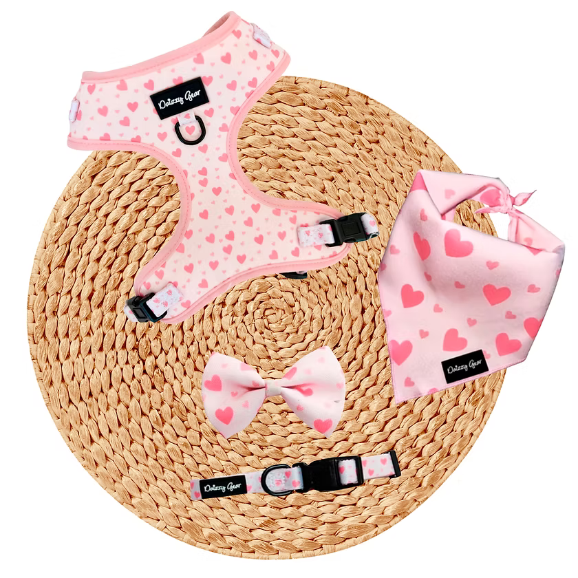 Blushing Love Dog Harness Matching Walking Set