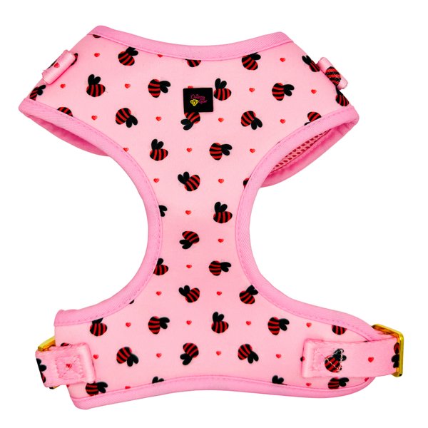 Pink Bees Dog Harness Matching Walking Set