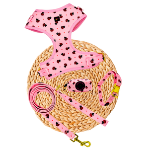 Pink Bees Dog Harness Matching Walking Set