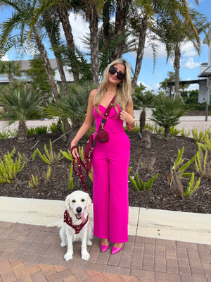 a cute dog mom walking her dog wearing the matching set 