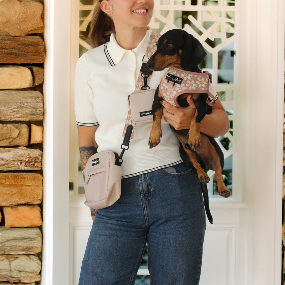 Cocoa Bloom Beige Dog Mom Twinning Bundle ( Dog Walking Set + Matching Bag) - Daizzy Gear - Stylish Accessories for Dogs