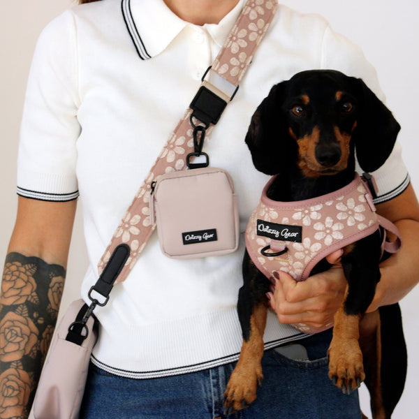 Cocoa Bloom Beige Dog Mom Twinning Bundle ( Dog Walking Set + Matching Bag) - Daizzy Gear - Stylish Accessories for Dogs