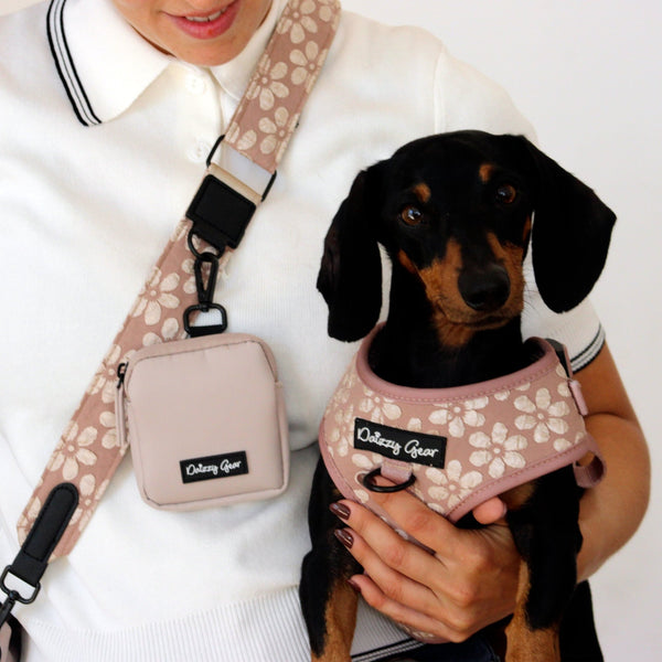 Cocoa Bloom Beige Dog Mom Twinning Bundle ( Dog Walking Set + Matching Bag) - Daizzy Gear - Stylish Accessories for Dogs