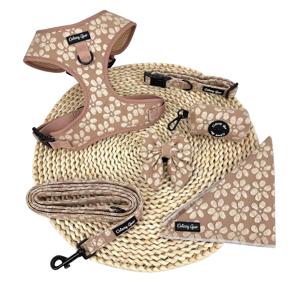 Cocoa Bloom Beige Dog Mom Twinning Bundle ( Dog Walking Set + Matching Bag) - Daizzy Gear - Stylish Accessories for Dogs