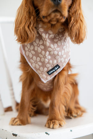 Dog wearing a patterned bandana with a visible brand logo on a white background