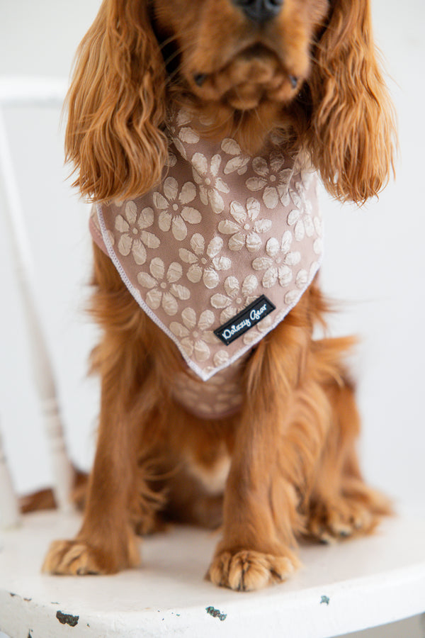 Dog wearing a patterned bandana with a visible brand logo on a white background
